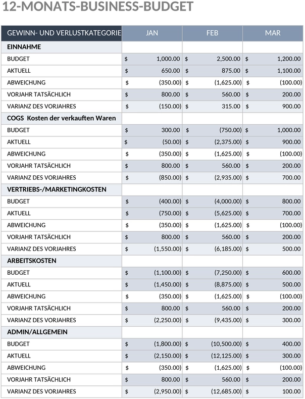 12-monats-budget-unternehmen.png