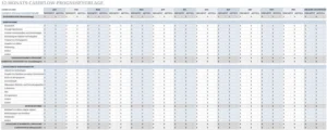 12-monats-cashflow-prognosevorlage-excel