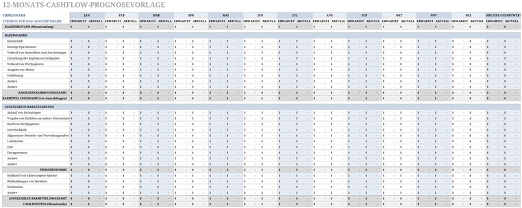 12-monats-cashflow-prognosevorlage-excel