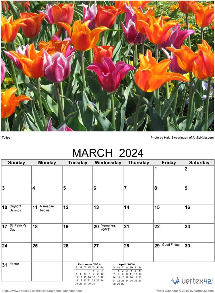 2024-foto-kalender-blumen.png