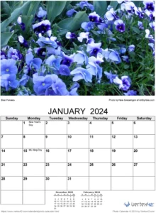 2024-foto-kalender-mit-blumenbildern