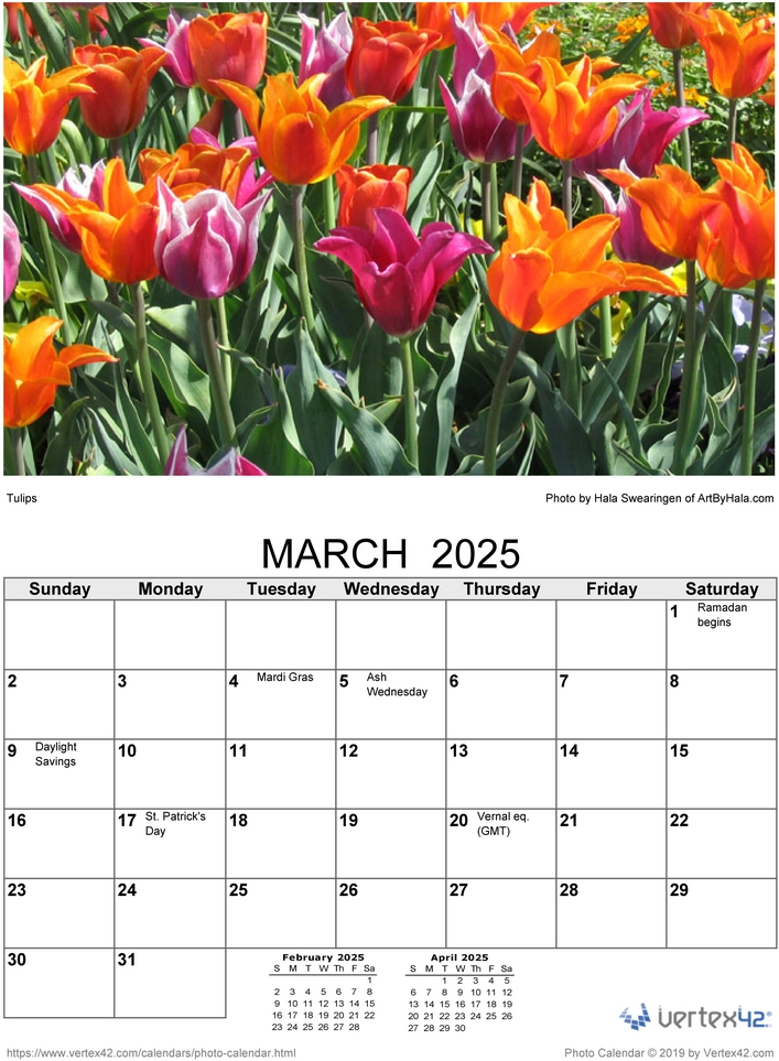 2025-fotokalender-blumen.png