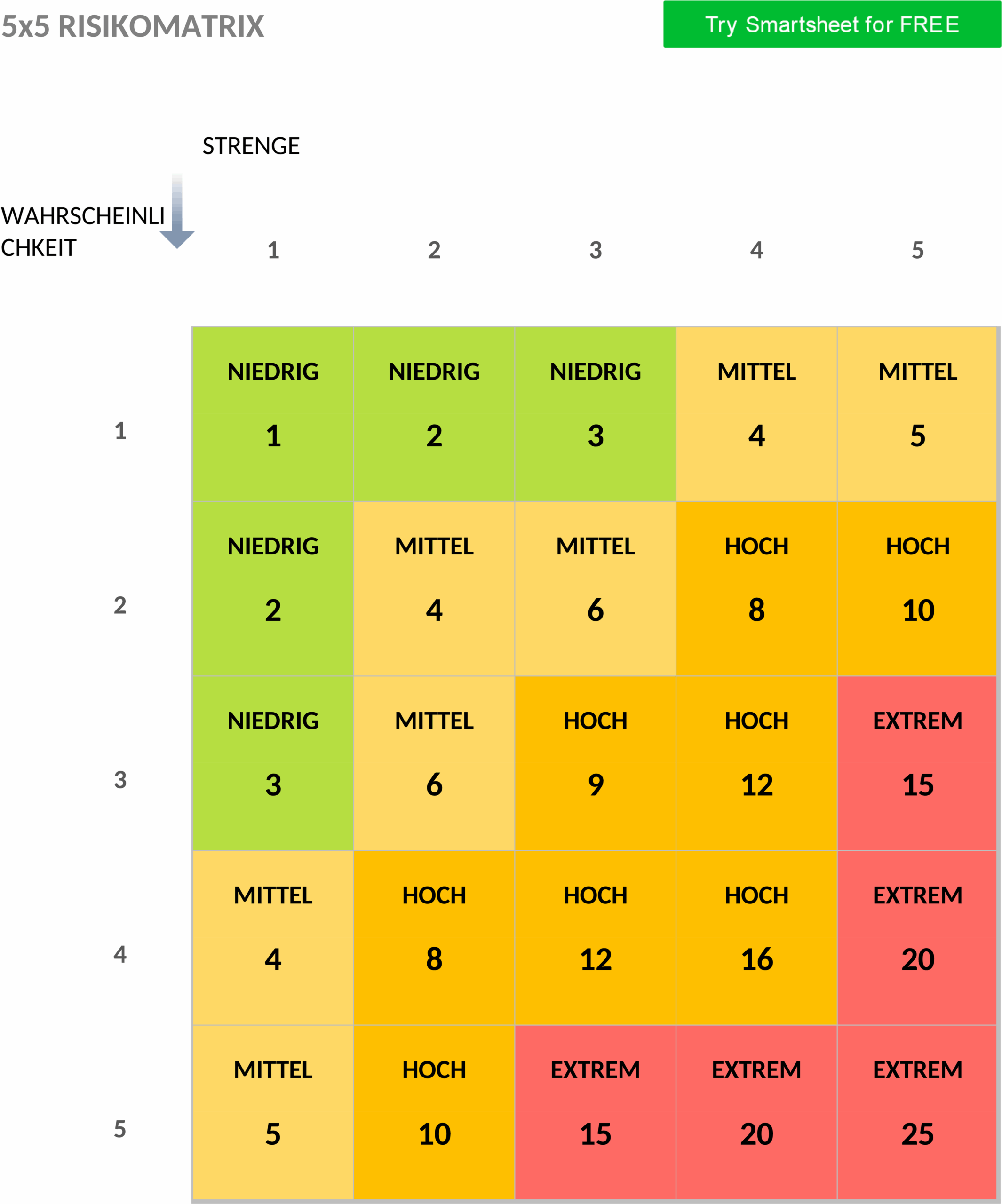 5x5 Risikomatrix im Word-Format