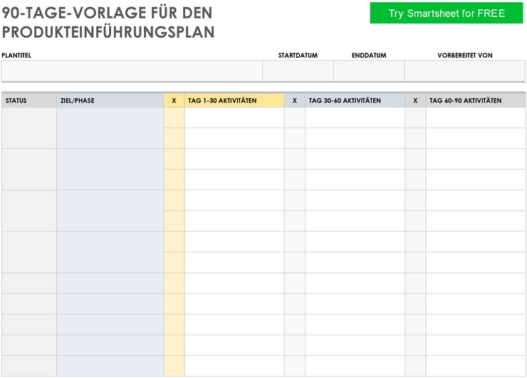 90-tage-vorlage-fuer-den-produkteinfuehrungsplan