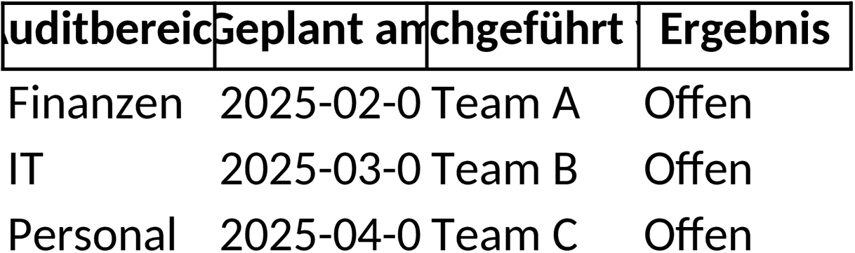 Audit Excel-Vorlage für Unternehmensanalysen