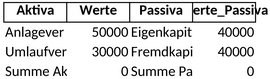 Bilanzvorlage.png