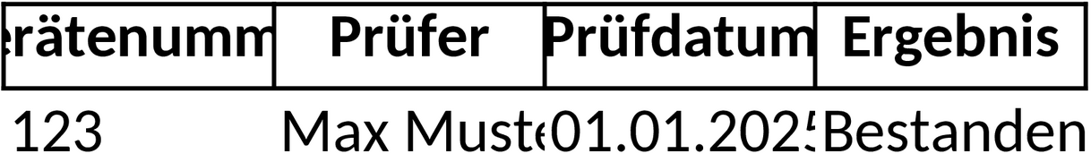 Excel-Vorlage für DGUV V3 Prüfprotokoll Elektrosicherheit