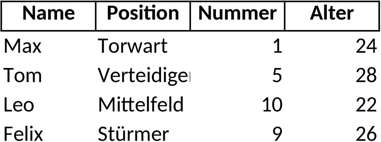 Excel-Vorlage: Mannschaftsverwaltung für Sportvereine