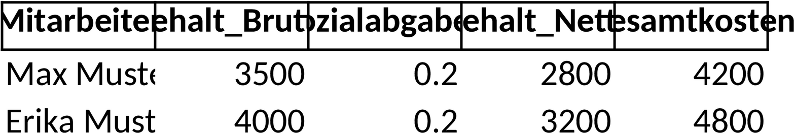 Excel-Vorlage für Personalkostenplanung