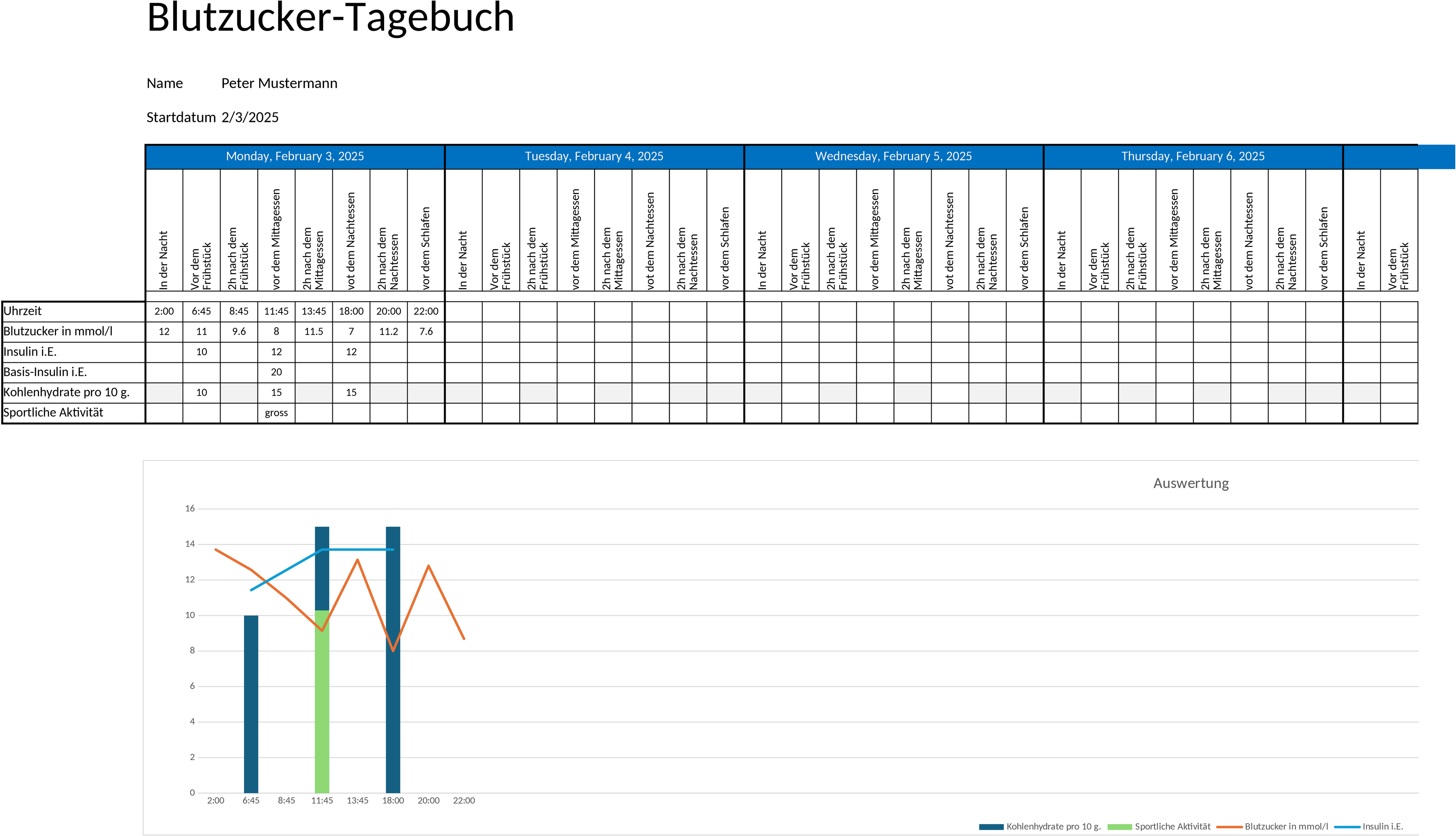 Excel-Vorlage für Diabetes-Tagebuch