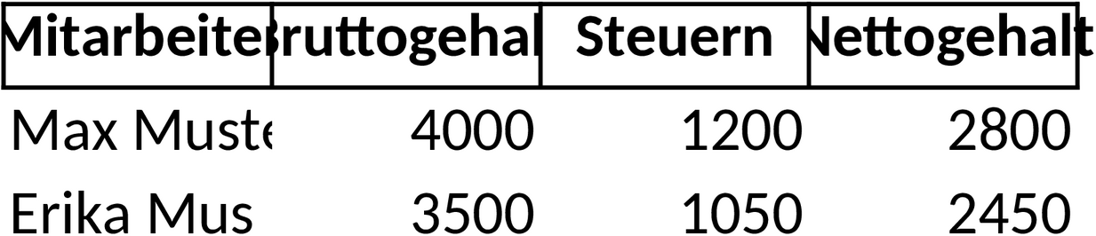 Excel-Vorlage für Gehaltsabrechnung zur einfachen Verwaltung von Lohnzahlungen