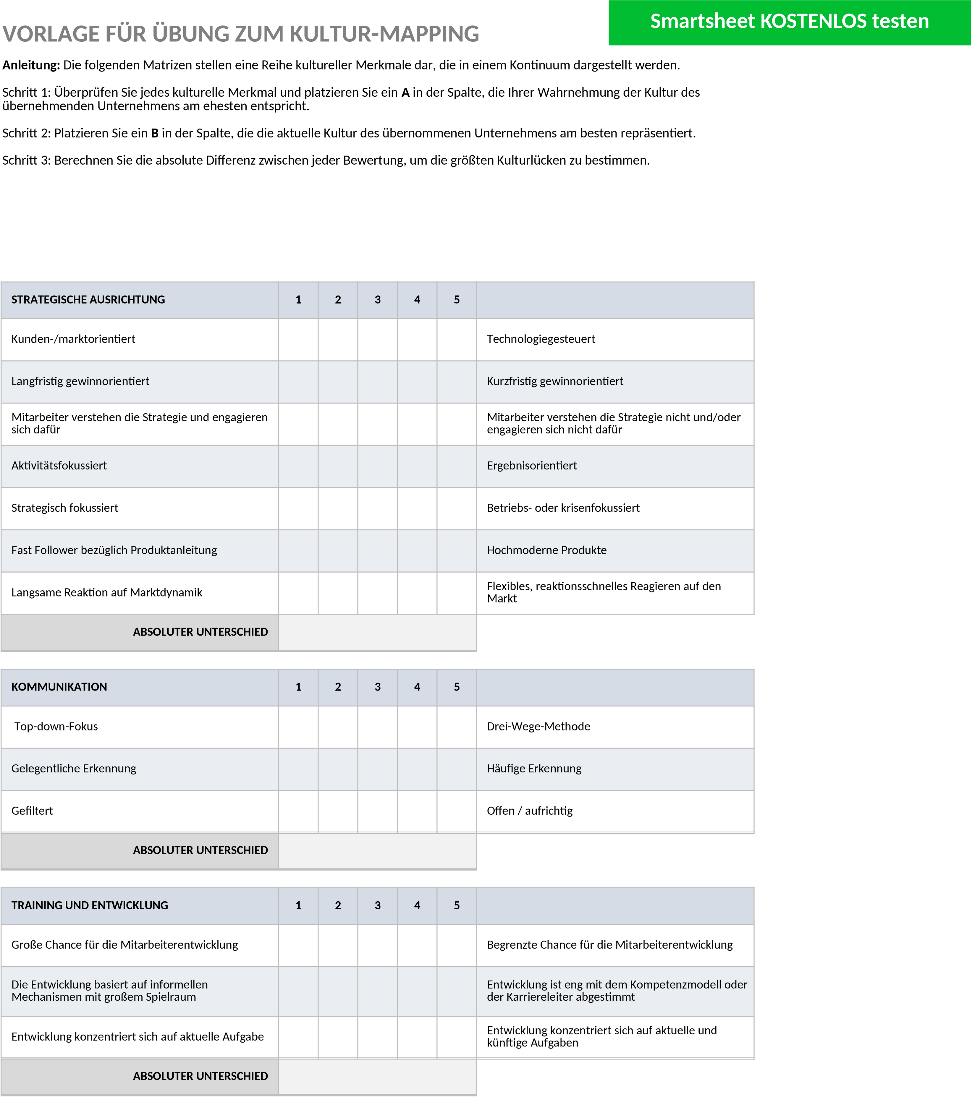 Excel-Vorlage für Interkulturelles Mapping