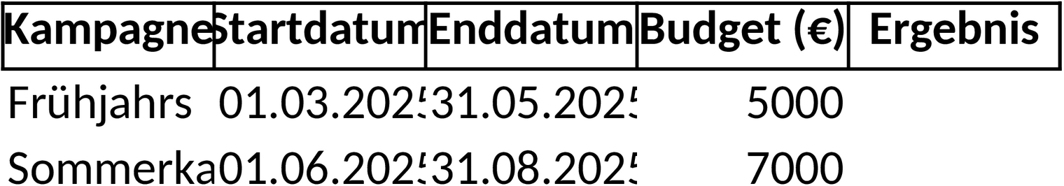 Excel-Vorlage für Kampagnenplanung