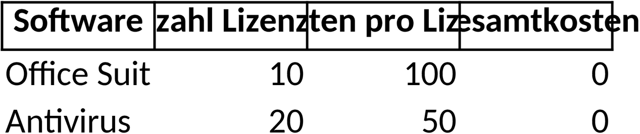 Excel Vorlage für Lizenzmanagement im Unternehmen