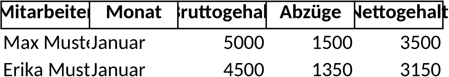 Excel-Vorlage für Lohnabrechnung und Gehaltsberechnung