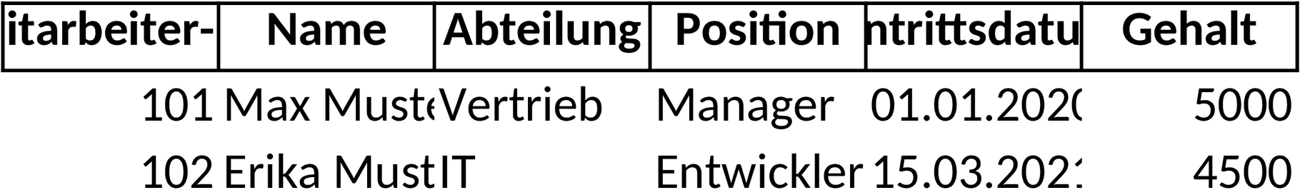 Excel-Vorlage zur Mitarbeiterverwaltung