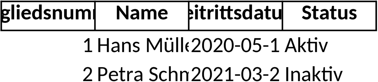 Excel-Vorlage Mitgliederliste für Vereine