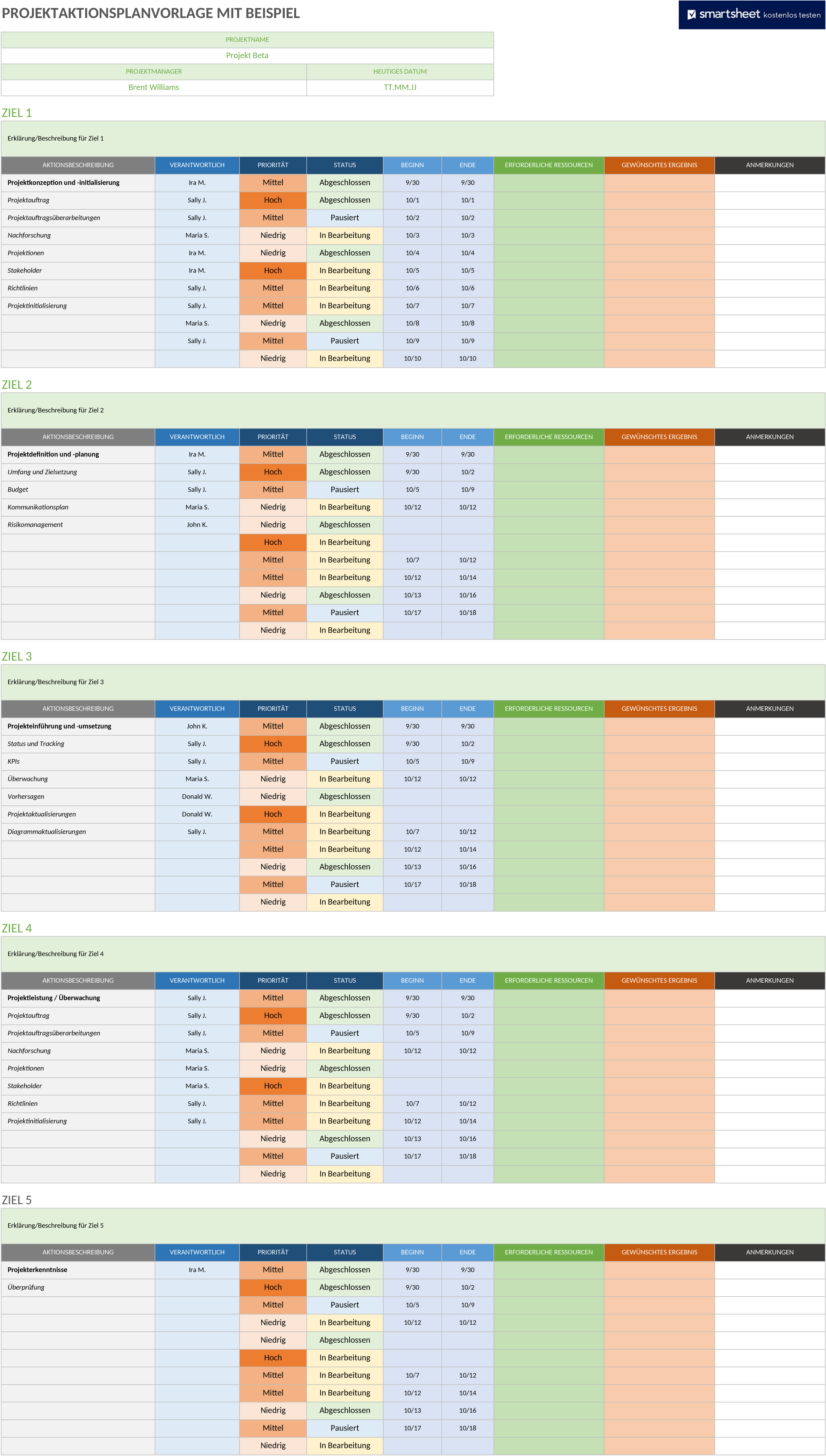Excel-Vorlage für Projektaktionspläne
