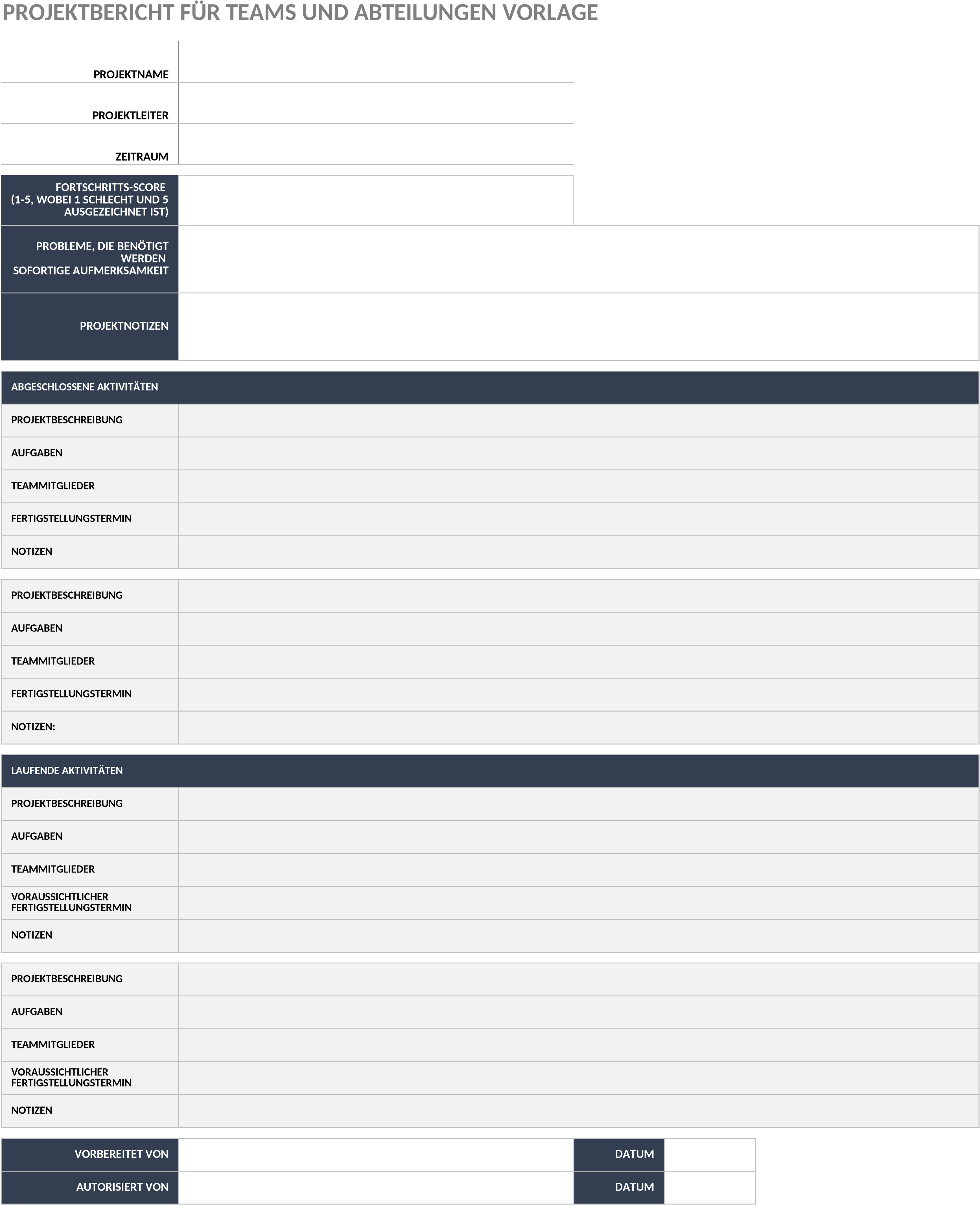 Excel-Vorlage für Projektberichte in Teams und Abteilungen