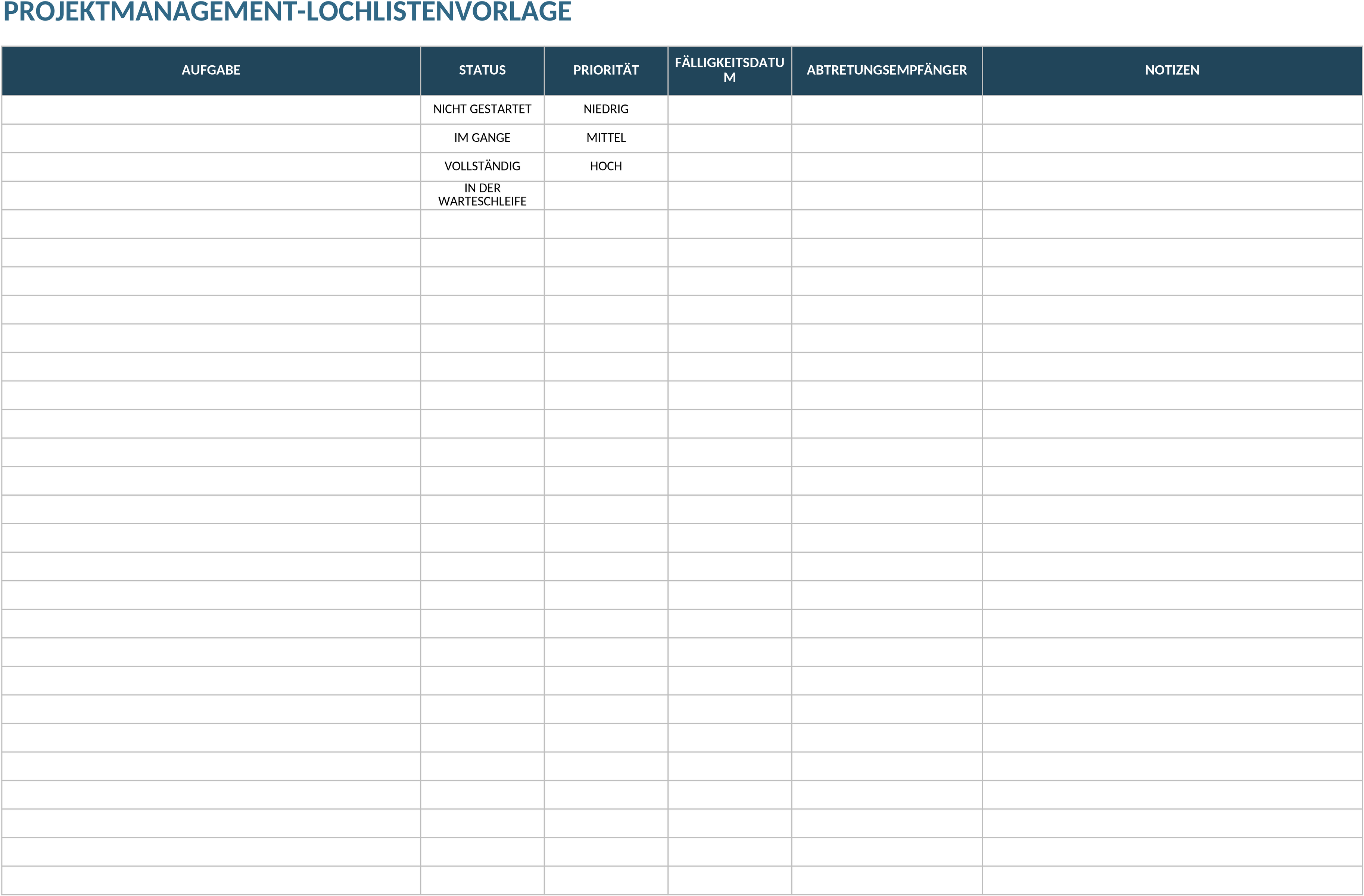 Excel-Vorlage für Projektmanagement-Checkliste