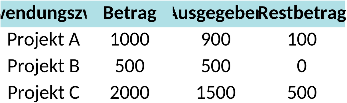 Excel-Vorlage für Scheck-Verwendungsnachweis
