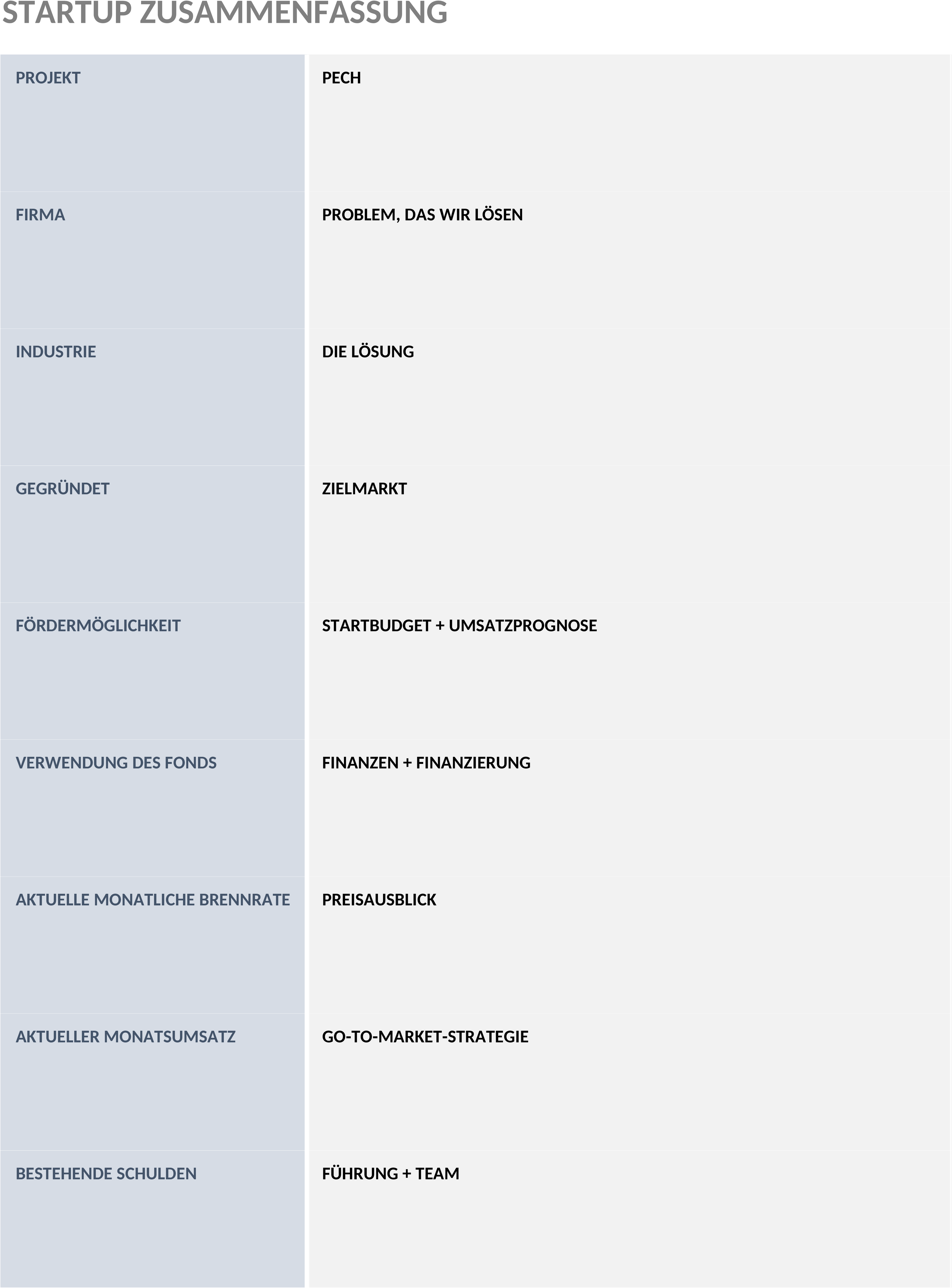 Excel-Vorlage für Startup Executive Summary