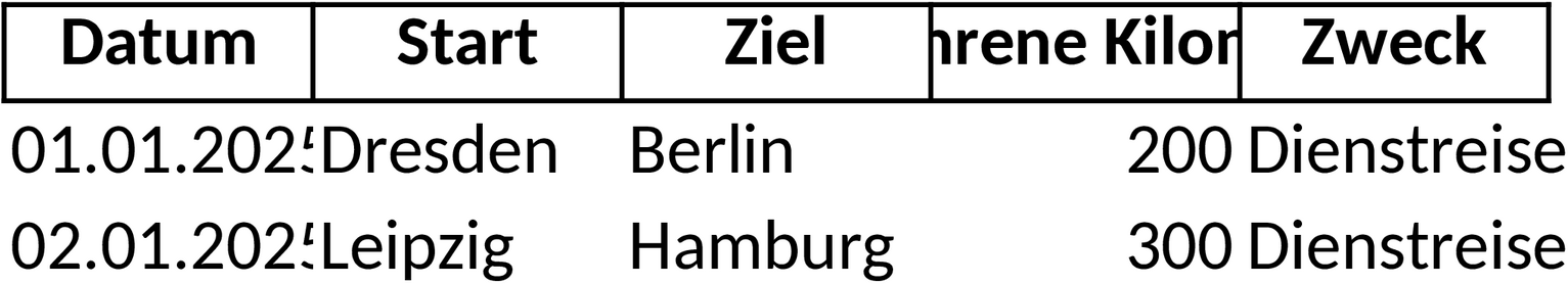 Excel-Vorlage für Fahrtenbuch und Finanzamt-Dokumentation