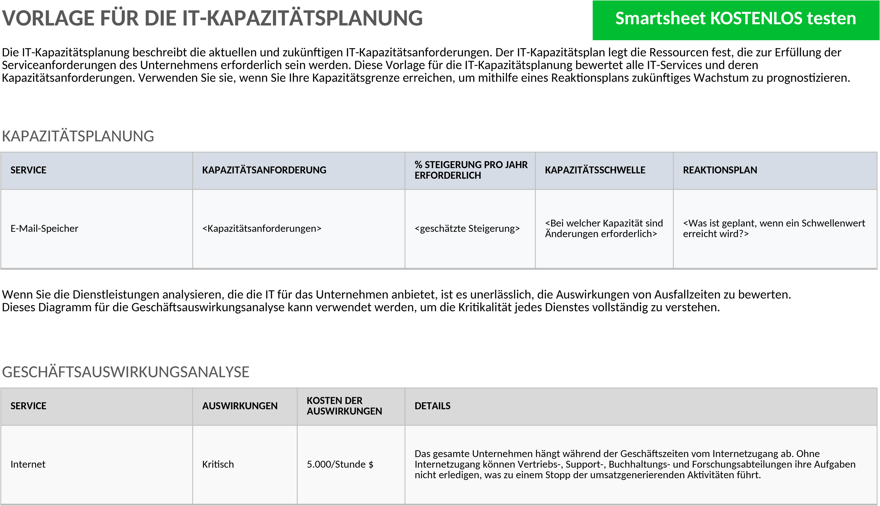 Excel-Vorlage für IT-Kapazitätsplanung