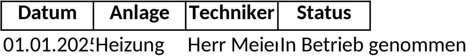 Inbetriebnahmeprotokoll Excel-Vorlage