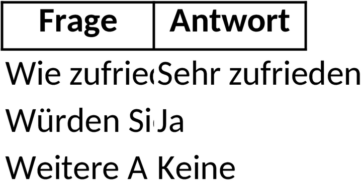 Excel-Vorlage für Kundenbefragungen