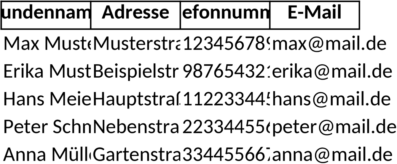 Excel-Vorlage für Kundenbeziehungsmanagement (CRM) zur Kundendatenerfassung