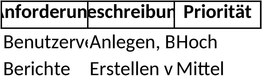 Excel-Vorlage für Lastenheft-ERP-Systeme