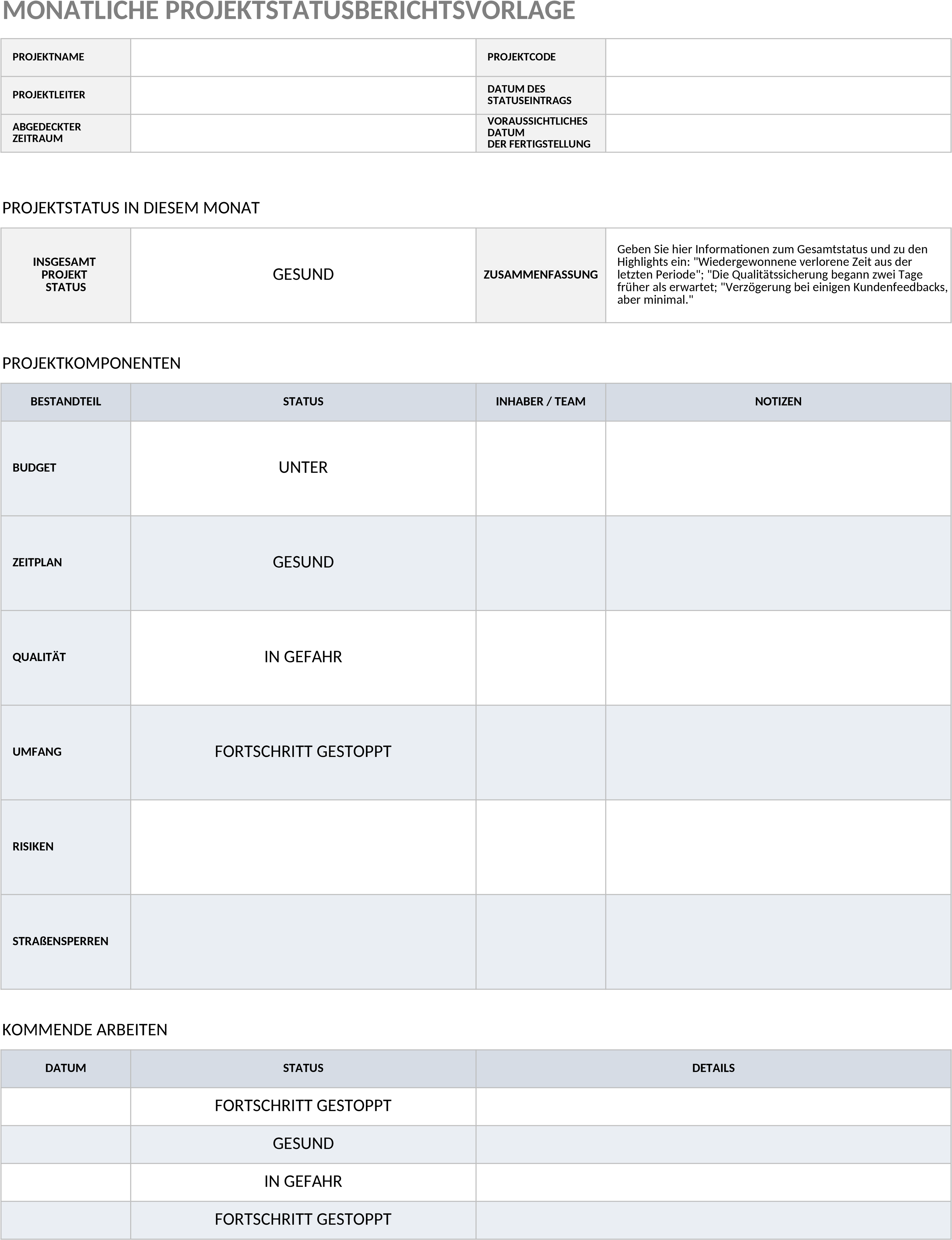 Excel-Vorlage für Monatlichen Projektstatus-Bericht