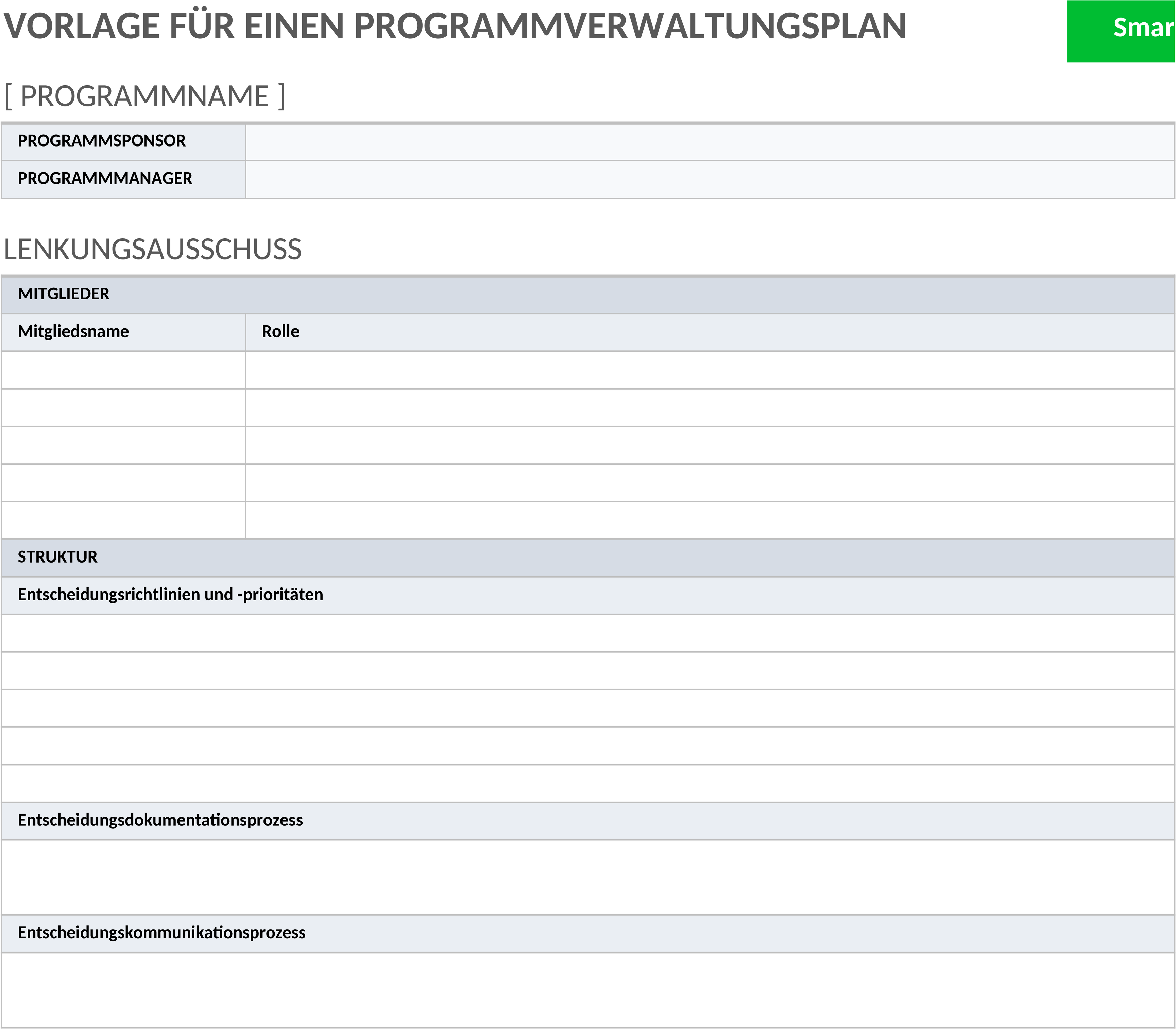 Excel-Vorlage für Programm-Governance-Plan
