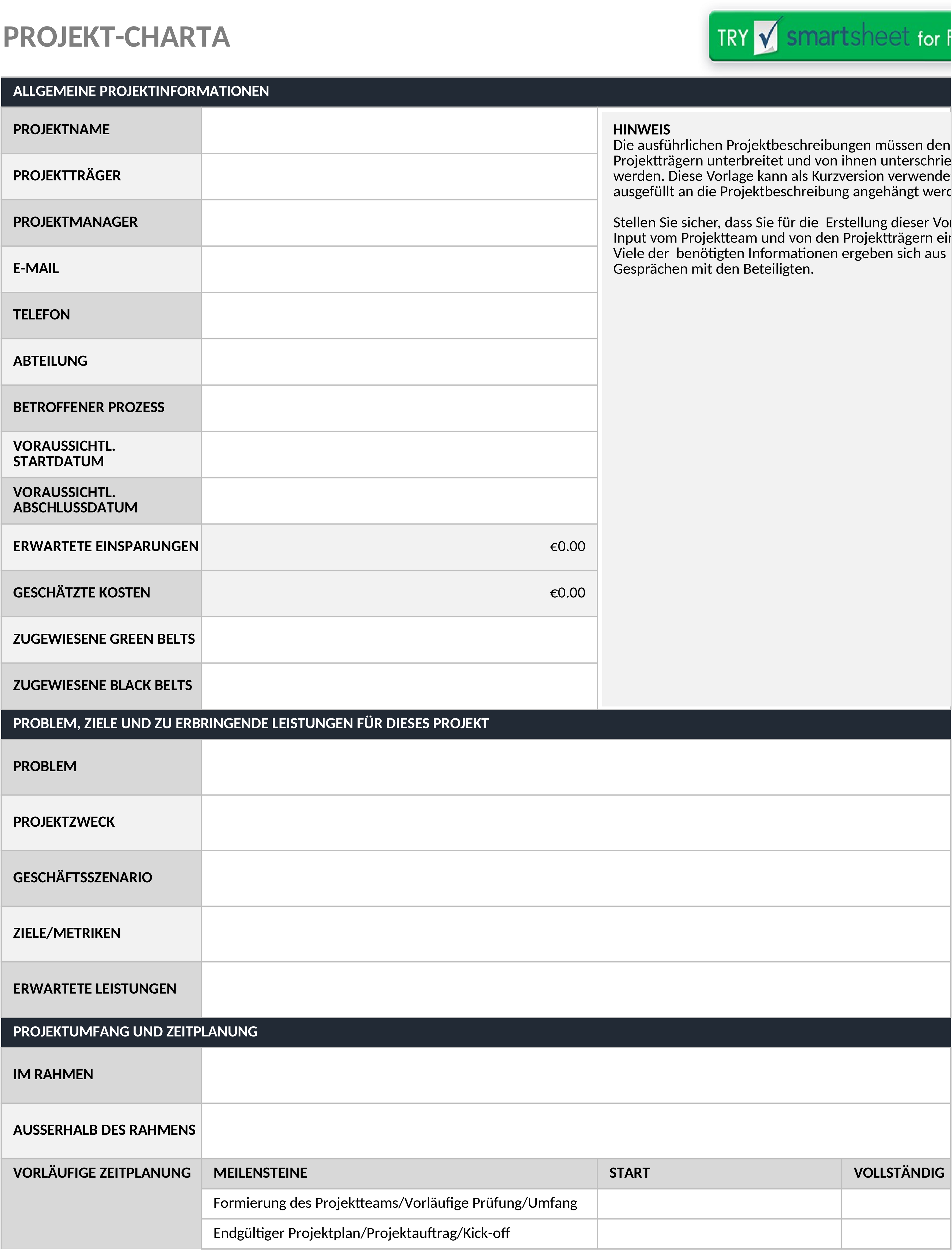 Excel-Vorlage Projektauftrag für effektives Projektmanagement
