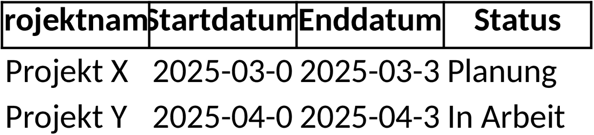 Projektmanagement Excel-Vorlage: Detaillierte Projektliste