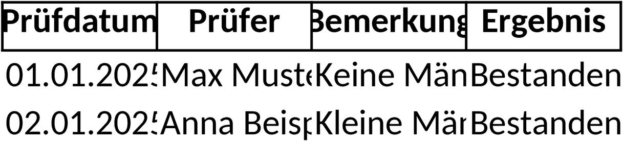 Excel-Vorlage für Projektmanagement-Prüfbuch
