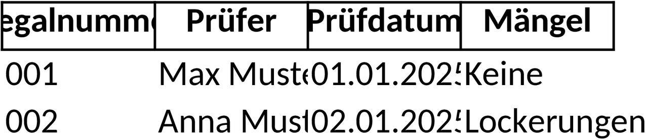 Excel-Vorlage für Regalprüfung Protokollformular