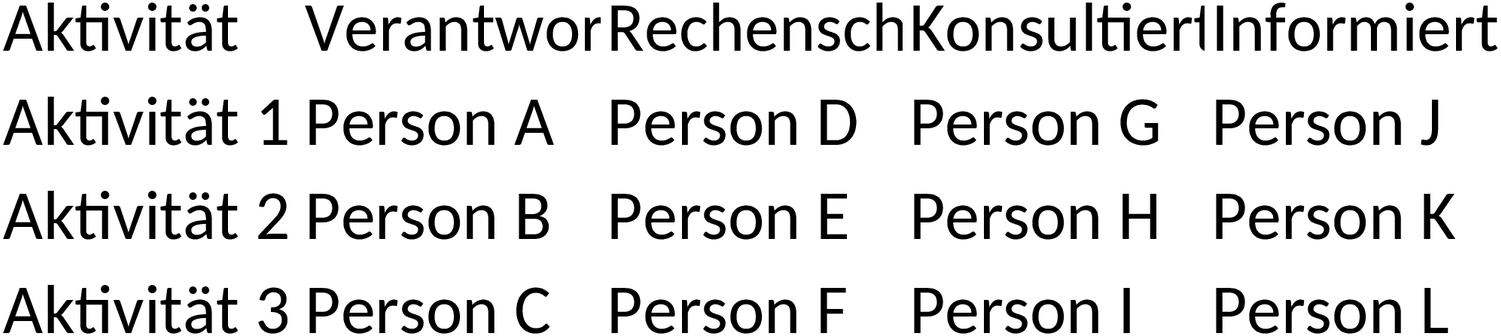 RACI Diagramm Excel Vorlage zur Verantwortungszuordnung