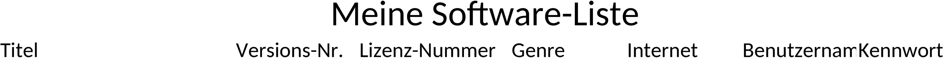 Excel-Vorlage für Softwarekatalog und Inventarverwaltung