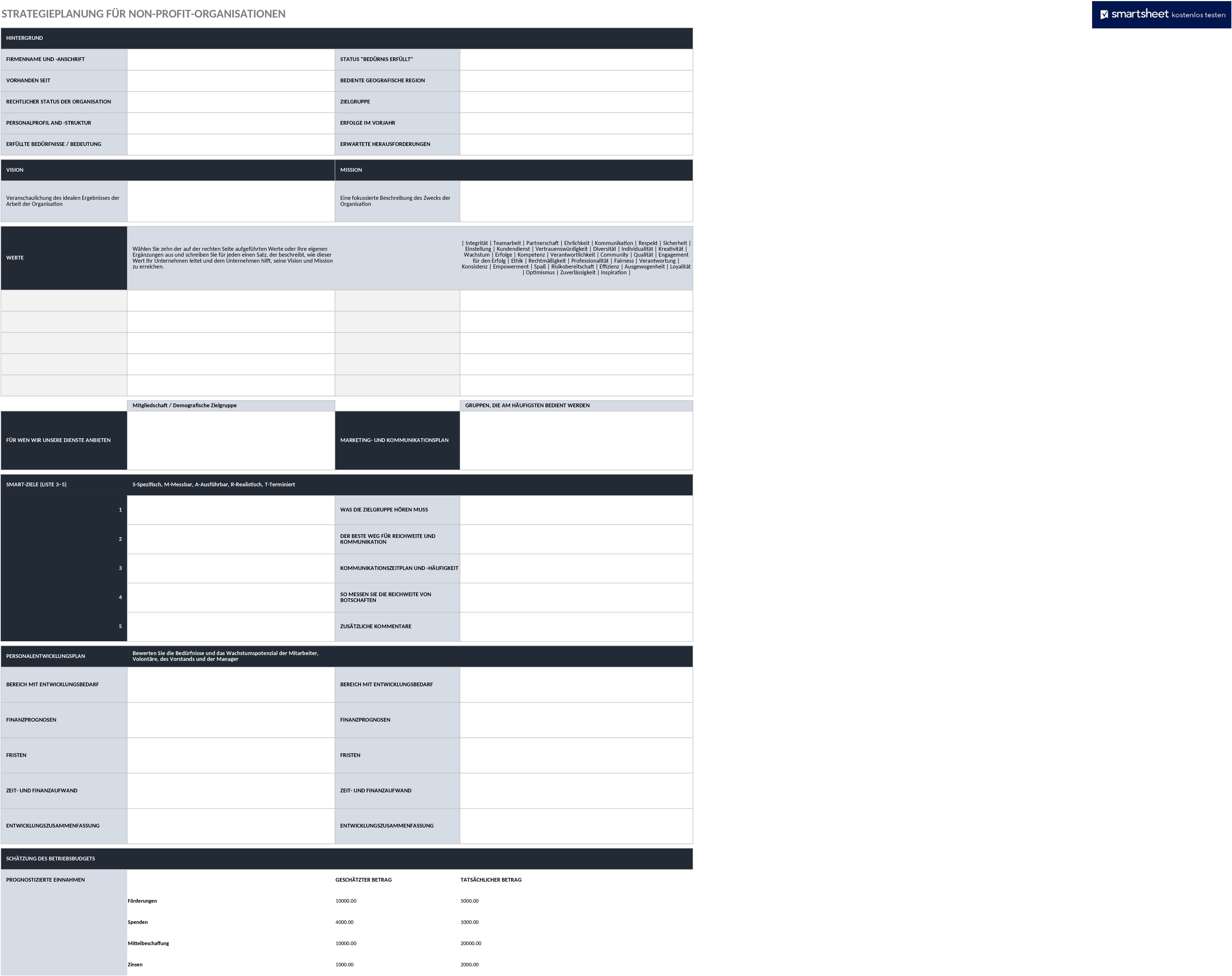 Excel-Vorlage für Strategische Planung im Non-Profit-Bereich