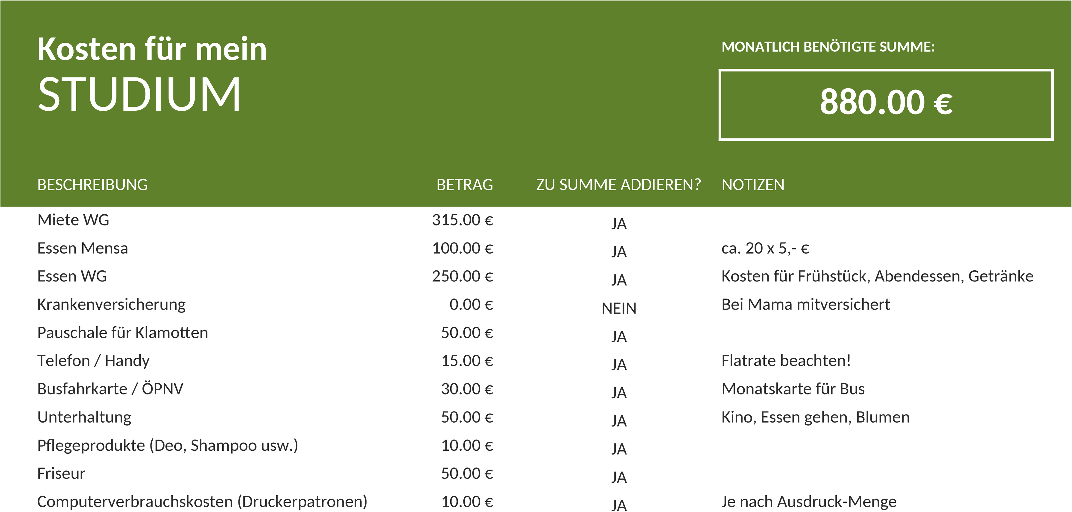 Excel-Vorlage für Studiumskostenplanung