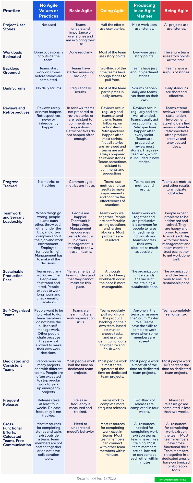 agile-maturity-matrix-vorlage
