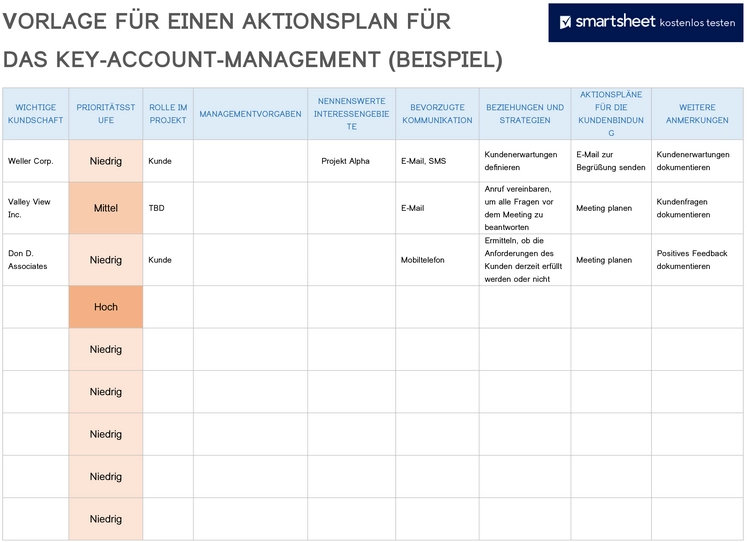 aktionsplan-key-account-management-vorlage