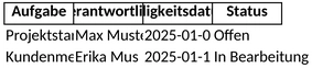 aktionsplan-organisation.png