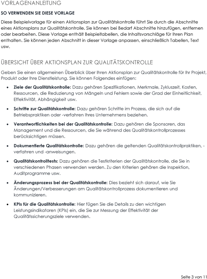 aktionsplan-zur-qualitaetskontrolle-word