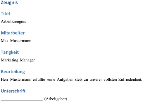 arbeitszeugnis-vorlage-fuer-professionelle-bewertung