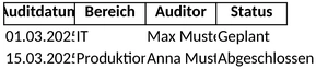 auditplan-fuer-audits-und-prozessoptimierung