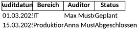 auditplan.png