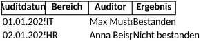 auditprogramm.png
